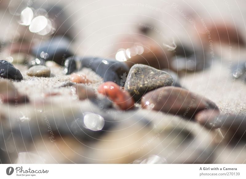 Hiddensee l pebbles Environment Nature Elements Sand Water Beautiful weather Coast Baltic Sea Ocean Island Glittering Lie Smoothness Multicoloured Colour photo