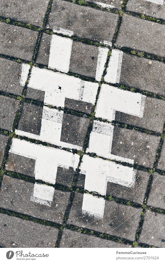 Hashtag sign on cobblestones Sign Characters Communicate # hash day Symbols and metaphors Sidewalk Footpath Paving stone White double cross Signs and labeling