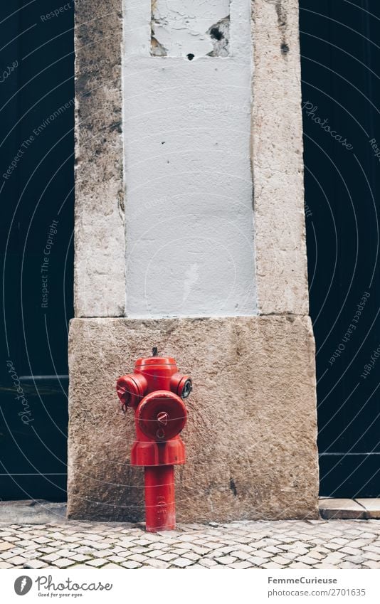 Red hydrant in Portugal House (Residential Structure) Fire hydrant Water Water supply Paving stone Cobblestones Facade Lisbon Colour photo Exterior shot