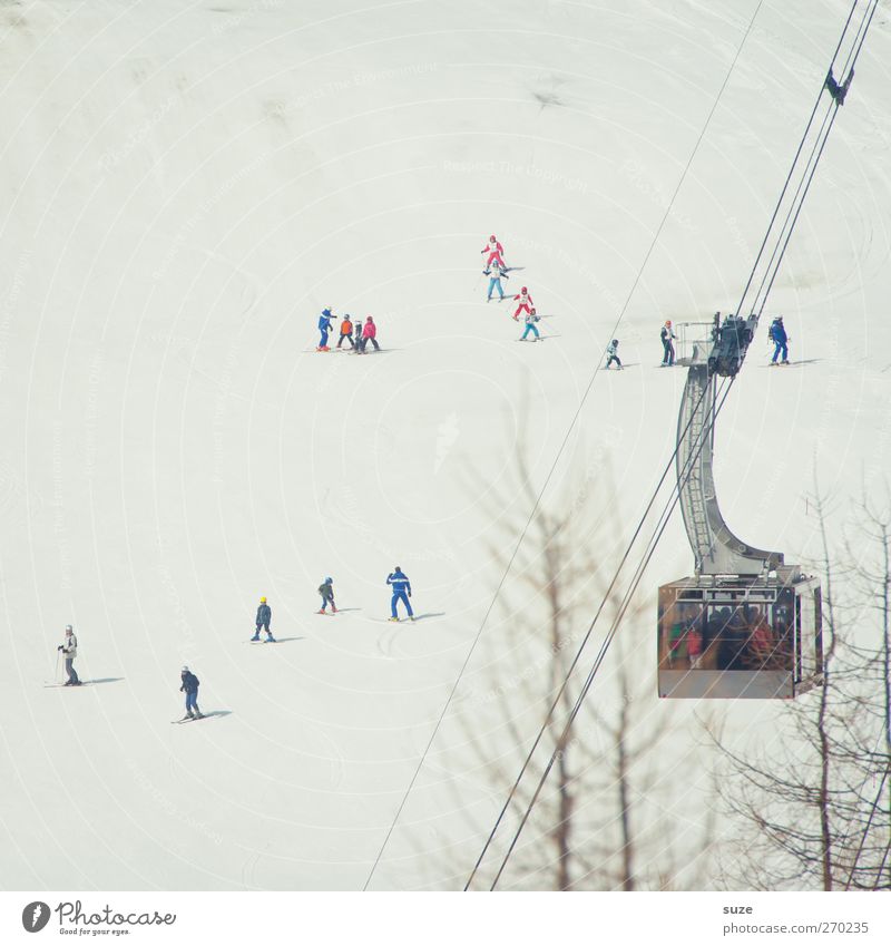 ski base Leisure and hobbies Vacation & Travel Tourism Winter vacation Skiing Human being Crowd of people Environment Nature Landscape Elements Snow Alps
