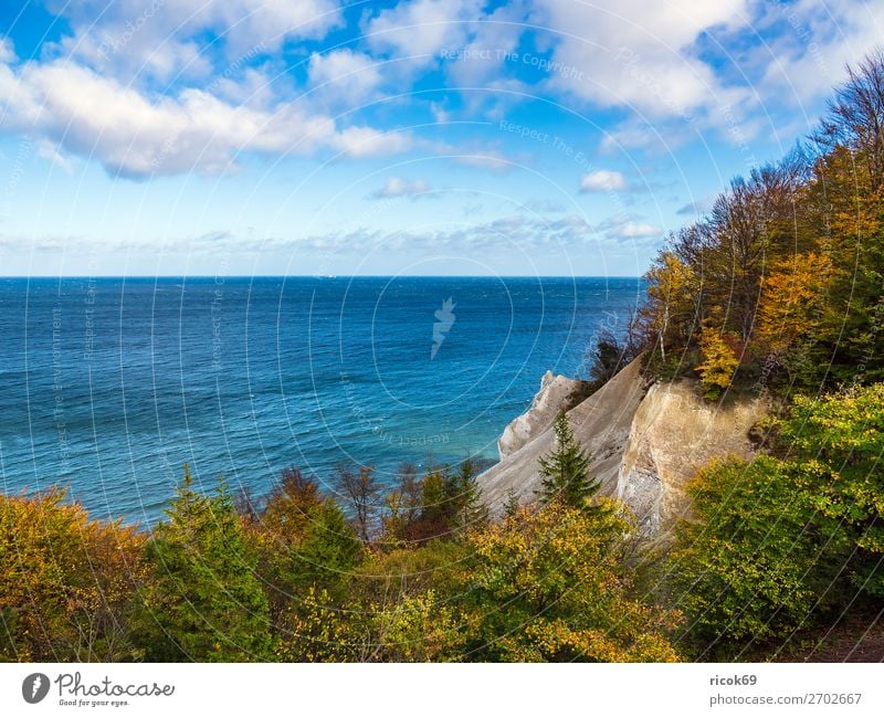 Baltic Sea coast on the island of Moen in Denmark Relaxation Vacation & Travel Tourism Beach Ocean Nature Landscape Water Clouds Autumn Tree Forest Rock Coast