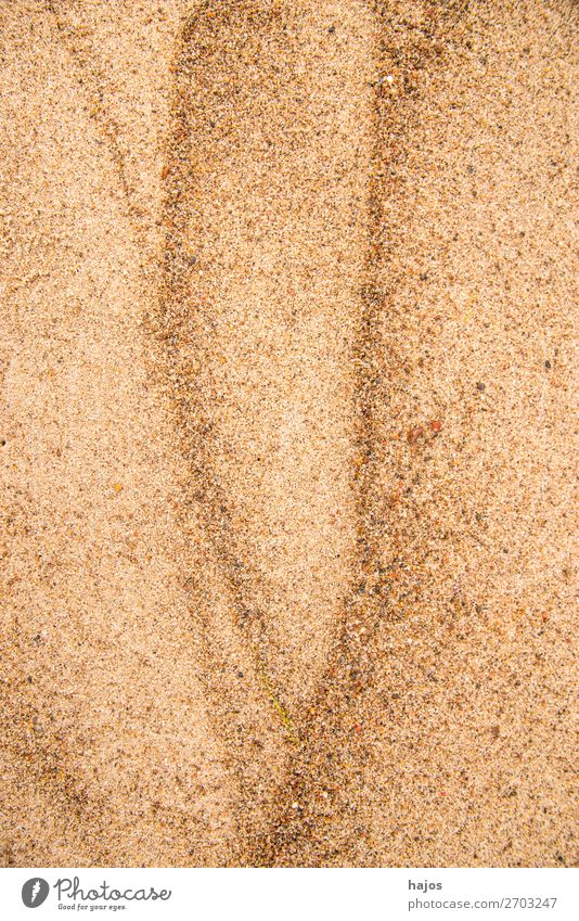 Sandy beach with lines Summer Beach Exotic Eroticism Feminine Soft Brown shape curves erotic Legs Close-up Scared slits background Neutral Natural Colour photo