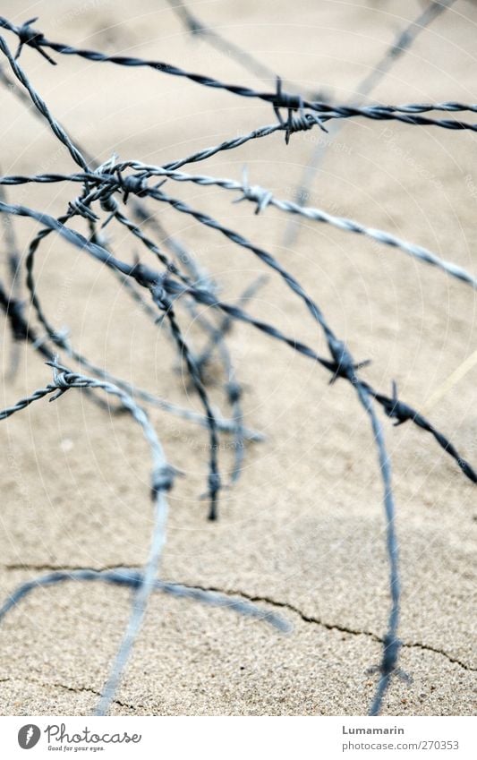 close Beach Sand Metal Aggression Thin Round Point Divide Bans Barbed wire Barbed wire fence Curved Muddled Knot Fence Exclusion zone Barred Border Protection