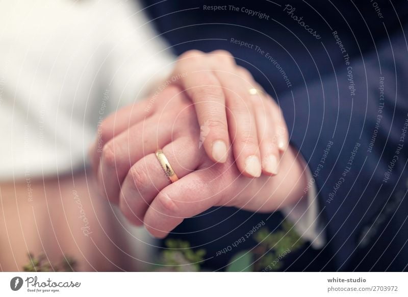Time for wedding Couple Partner Love Wedding band Ring Circle Hand Matrimony Married couple Wife Husband Depth of field Wedding couple Hand posture Together