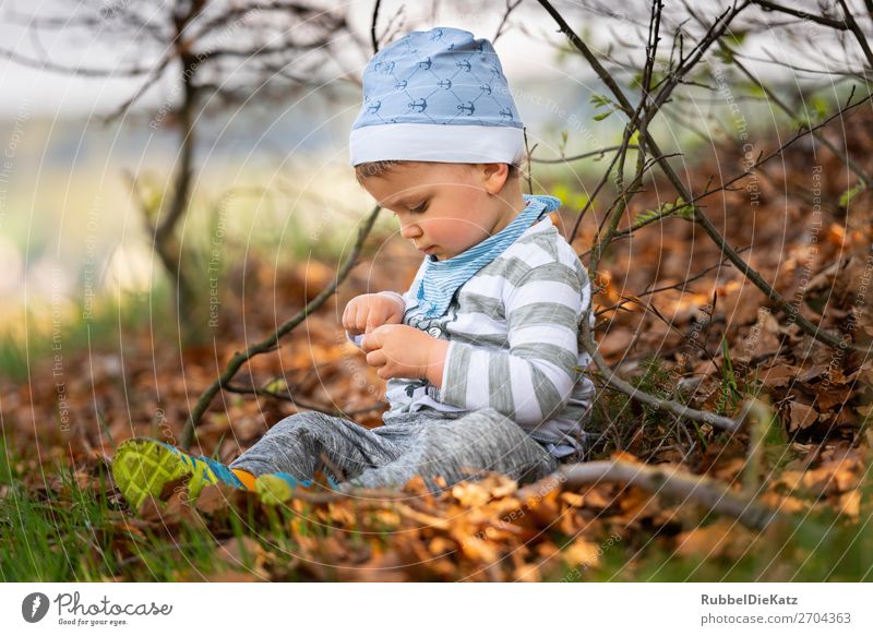At the edge of the forest Human being Masculine Child Brother Family & Relations Infancy 1 1 - 3 years Toddler Environment Nature Autumn Beautiful weather