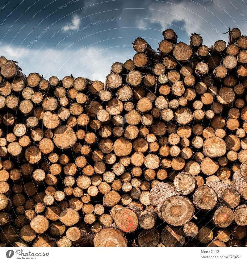 winter stock Agriculture Forestry Sky Clouds Storm clouds Thunder and lightning Tree Wood Dark Round Dry Many Brown Stack Stack of wood Storage Tall