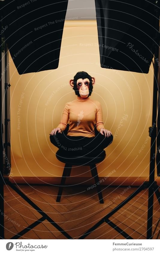 Woman with monkey mask sitting in photo studio Feminine Adults 1 Human being 18 - 30 years Youth (Young adults) 30 - 45 years Joy Photographic studio