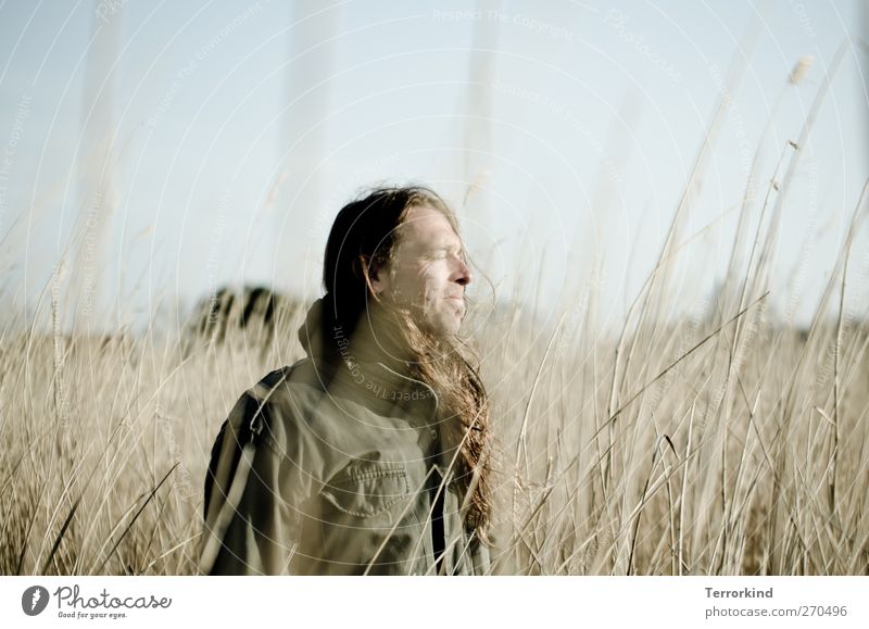 Hiddensee, see. Man Smooth Long-haired Hair and hairstyles Calm Serene Dream Dreamily Field Meadow Nature Life Sky Jacket Human being lovable.