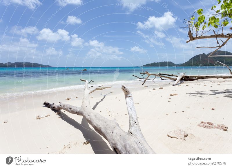 PRASLIN - SEYCHELLES Praslin Seychelles Vacation & Travel Travel photography Beach Coast Sand Ocean Island Nature Landscape Africa Tourism Untouched