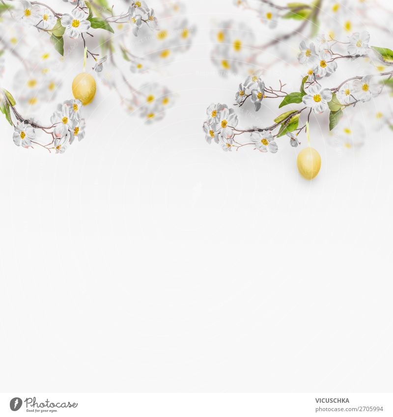 White spring blossoms with hanging yellow Easter eggs Style Design Nature Plant Spring Blossom Decoration Flag Yellow Tradition Background picture