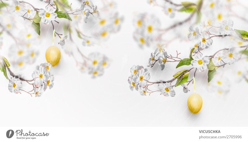 Hanging yellow Easter eggs and spring flowers Style Design Decoration Feasts & Celebrations Nature Spring Leaf Blossom Wall (barrier) Wall (building) Bouquet