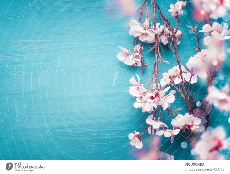 Spring cherry blossom twigs on turquoise blue Style Design Decoration Feasts & Celebrations Nature Plant Flower Leaf Blossom Hip & trendy Pink Turquoise White