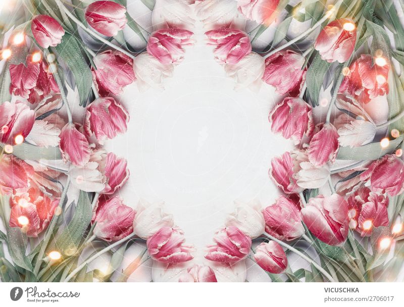 Tulip Frame Background Shopping Style Design Decoration Feasts & Celebrations Mother's Day Easter Nature Plant Spring Flower Bouquet Pink Background picture