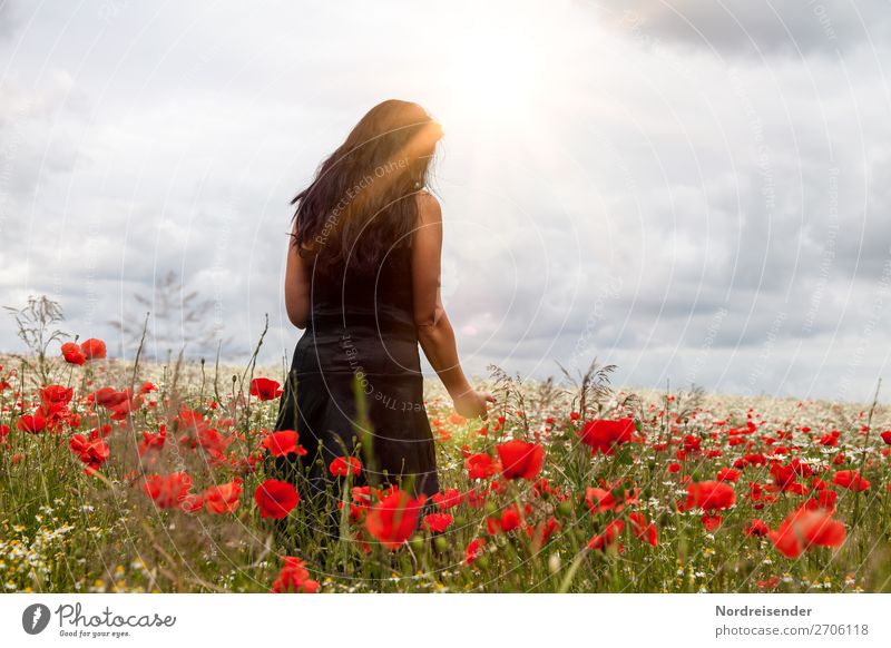 Sometime in summer. Harmonious Relaxation Trip Summer Human being Feminine Woman Adults Nature Landscape Sky Clouds Beautiful weather Flower Field Dress