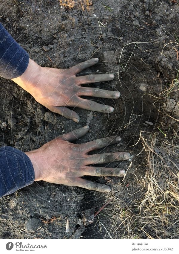 gardening Gardening Hand Fingers 1 Human being Earth Field Fingernail Dirty Sand Work and employment Free Determination Passion Colour photo Subdued colour