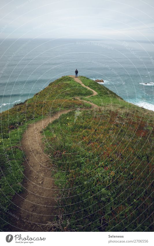 hiking trail Well-being Contentment Senses Relaxation Calm Vacation & Travel Tourism Trip Adventure Far-off places Freedom Ocean Waves Environment Nature