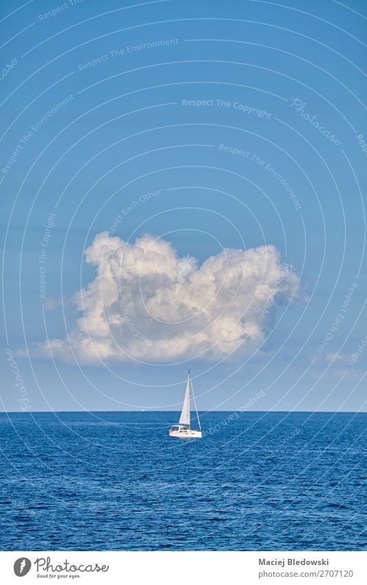 Lonely yacht on the horizon. Lifestyle Vacation & Travel Tourism Trip Adventure Far-off places Freedom Cruise Summer Summer vacation Ocean Sailing Nature