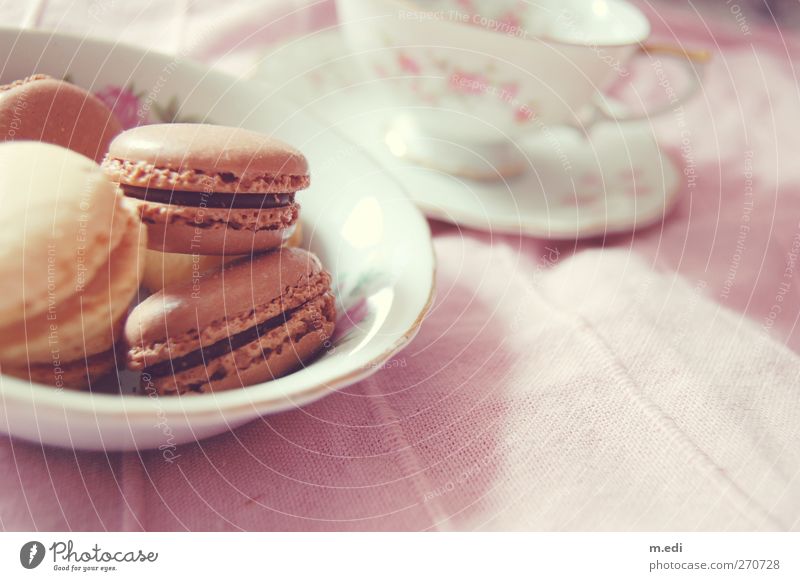 macaron love Food Dough Baked goods Cake Dessert Candy macarons Feasts & Celebrations Kitsch Colour photo Interior shot Day