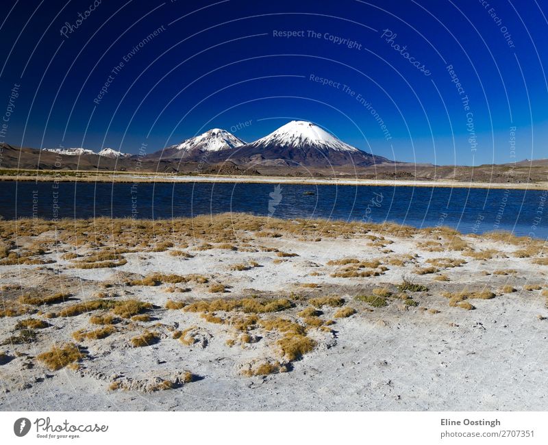 parinacota volcano Nature Landscape Elements Earth Air Water Mountain Lakeside Beautiful Blue Brown Multicoloured Yellow Turquoise White Adventure