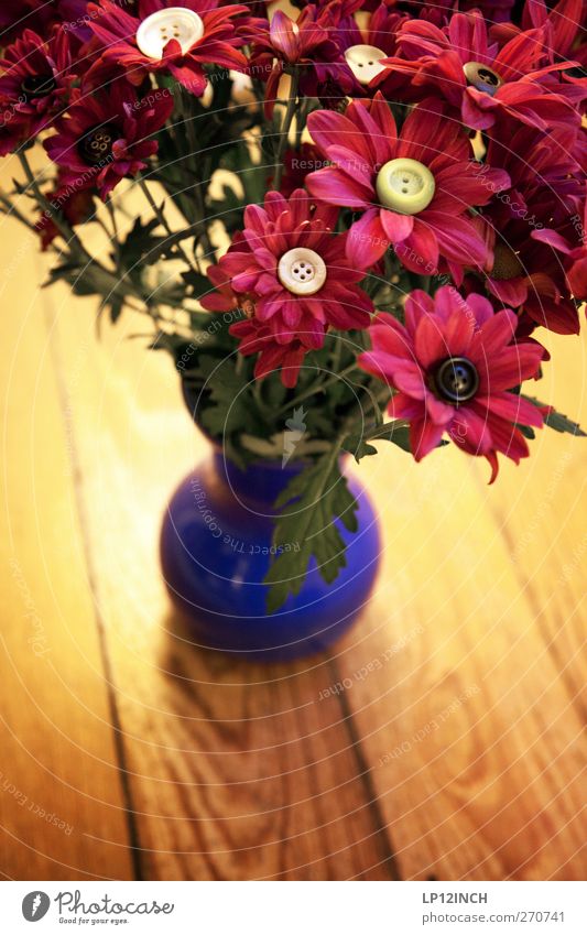 A bouquet of buttons Nature Plant Flower Blossoming Beautiful Crazy Feminine Vase Buttons Floor covering Wooden floor Decoration Exceptional Colour photo