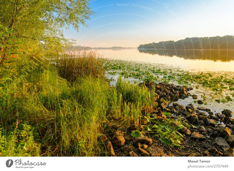 View of the Dniper River at morning Vacation & Travel Sun Fog Tree Grass Park Yellow Green Peace Dnieper Dnipro Kiev Kyiv Ukraine calm light Magic over peaceful