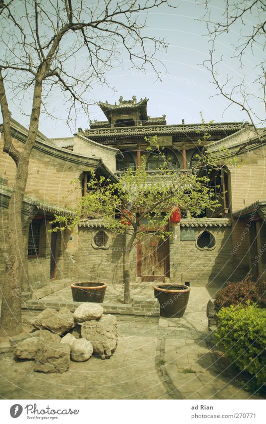 A.Family.House II Sky Cloudless sky Beautiful weather Plant Tree Bushes Park Pingyao China Town Downtown Old town Skyline Deserted House (Residential Structure)