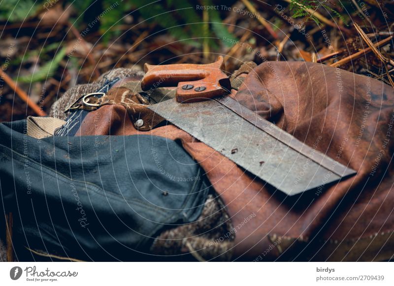 Handsaw - oldstyle Leisure and hobbies Home improvement Joiner Saw Nature Leather Bag Leather bag Tool Old Esthetic Authentic Uniqueness Sustainability Positive