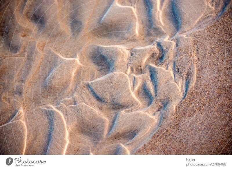 Patterns in the sand Summer Beach Sand Brown Tall Deep texture structure Sandy beach Abstract Nature background Colour photo Exterior shot Close-up