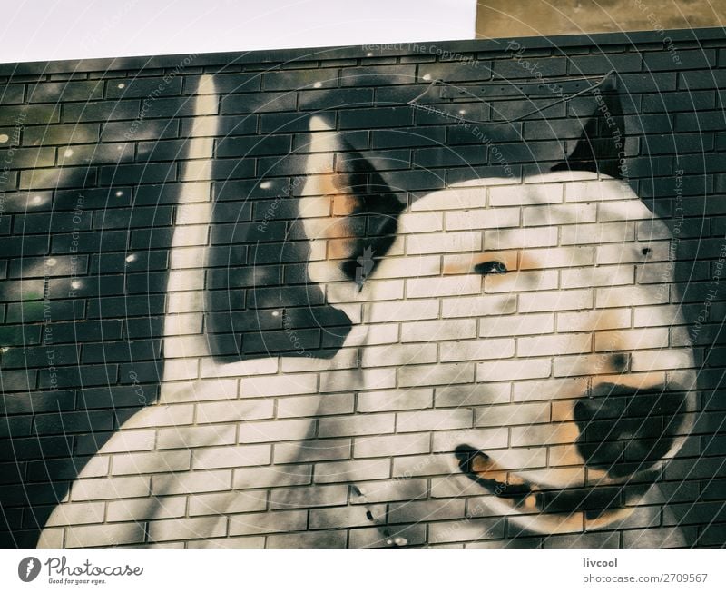 dog graffitti on a wall, fitzroy-melbourne Lifestyle Elegant Style Art Work of art Architecture Culture Animal Street Pet Dog 1 Graffiti Authentic Exceptional