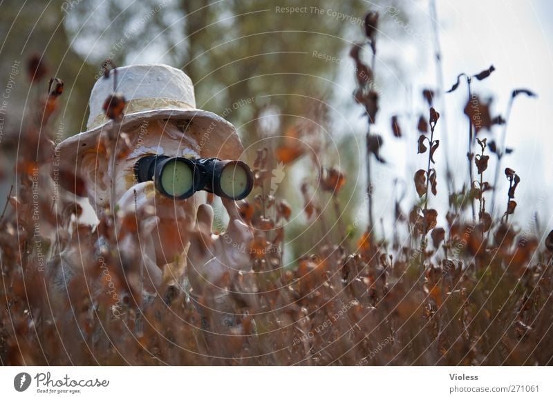 Hiddensee | Hiddenseh Head Binoculars Observe Curiosity Mistrust Discover Hedge Hat Cover Hide Colour photo Exterior shot Looking