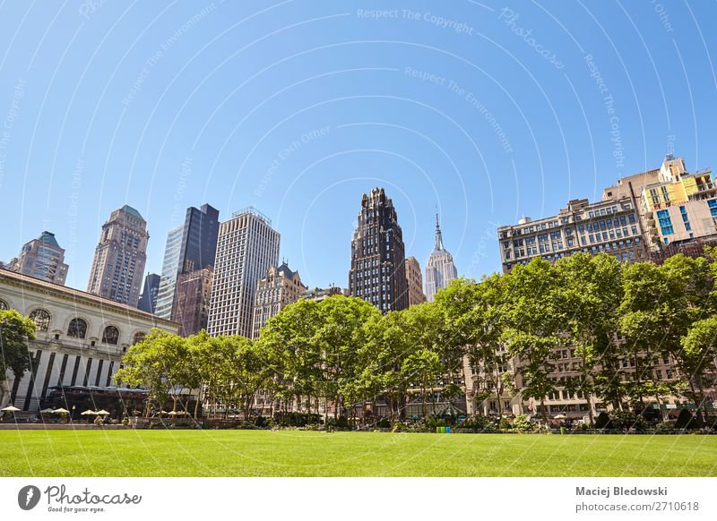 New York skyline seen from the Bryant Park, USA. Leisure and hobbies Vacation & Travel Tourism Sightseeing City trip Summer Office Nature Sky Cloudless sky Tree