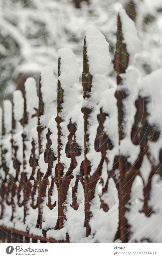 snow-covered fence Work of art Winter Ice Frost Snow Park Metal Rust Arrow Old Dark Cold Romance Serene Calm Loneliness Esthetic Bizarre Network Nostalgia
