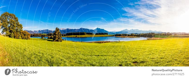 Panorama from lake - Bavaria - Germany germany summer land alps water background park wide angle bavaria landscape environment outdoor nature countryside nobody