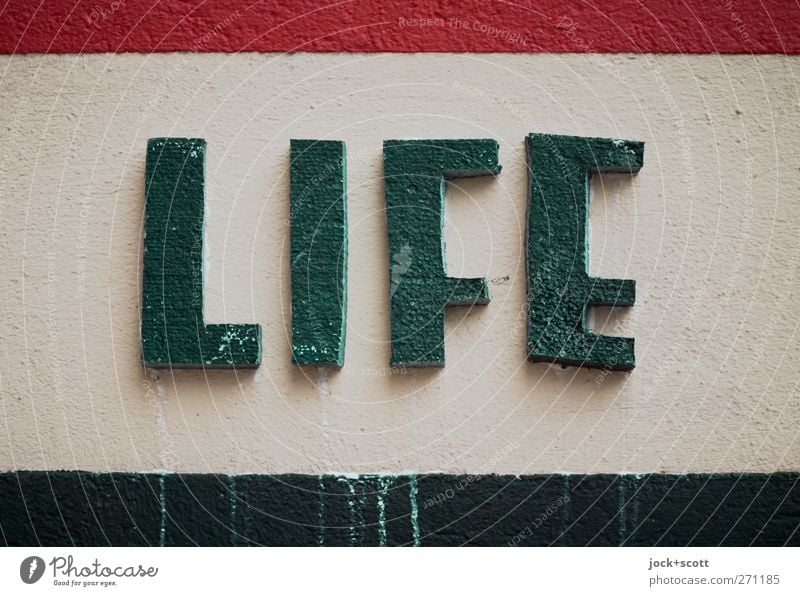 Life is colourful. Wall (building) Characters Stripe Dirty Green Experience Plaster English Styrofoam Outstanding Self-made Weathered Foam rubber Low-cut