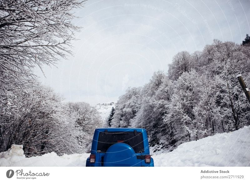 car parked on snowy road in winter. Street Snow Winter Asphalt Nature Car Parked Roadside Cold Landscape White Seasons Forest Frost Day Frozen Trip Transport