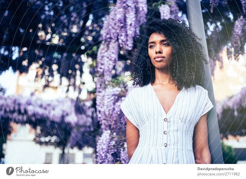 Young black woman surrounded by flowers Woman Blossom Spring Lilac Portrait photograph multiethnic Black African Mixed race ethnicity Considerate Looking away