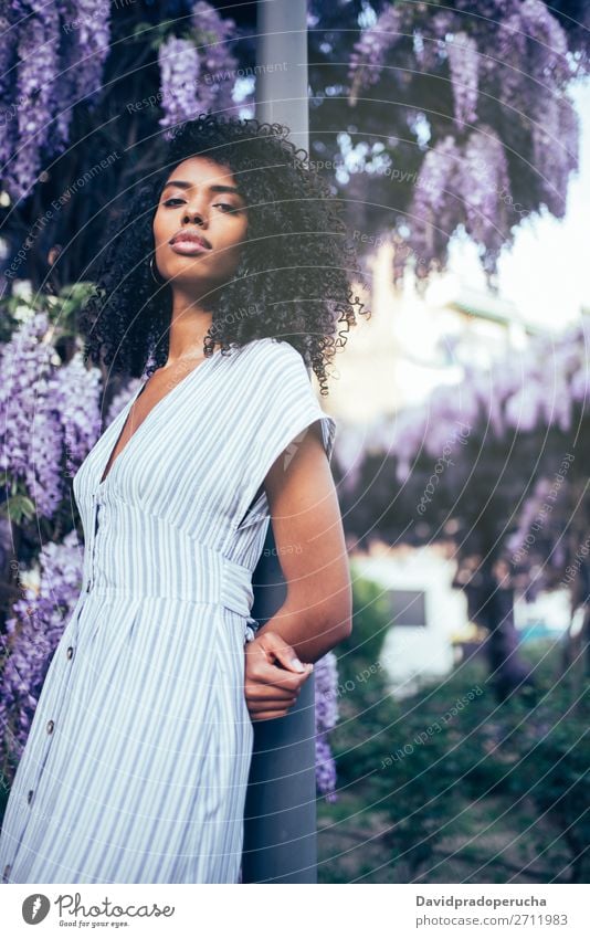 Young black woman surrounded by flowers Woman Blossom Spring Lilac Portrait photograph multiethnic Black African Mixed race ethnicity Considerate