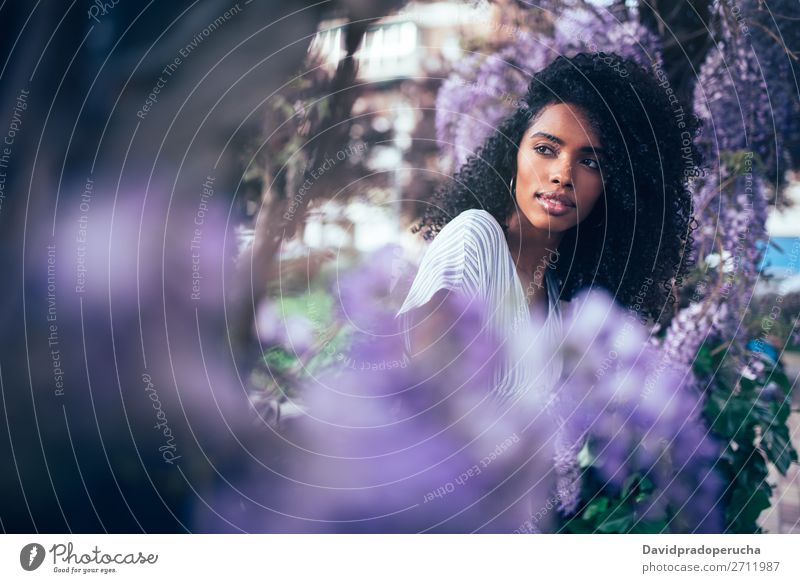 Young black woman sitting surrounded by flowers Woman Blossom Spring Lilac Portrait photograph multiethnic Black African Mixed race ethnicity Smiling