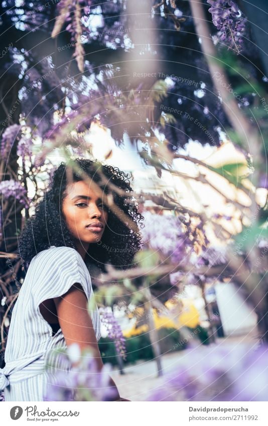 Thoughtful young black woman sitting surrounded by flowers Woman Blossom Spring Lilac Portrait photograph multiethnic Black African Mixed race ethnicity