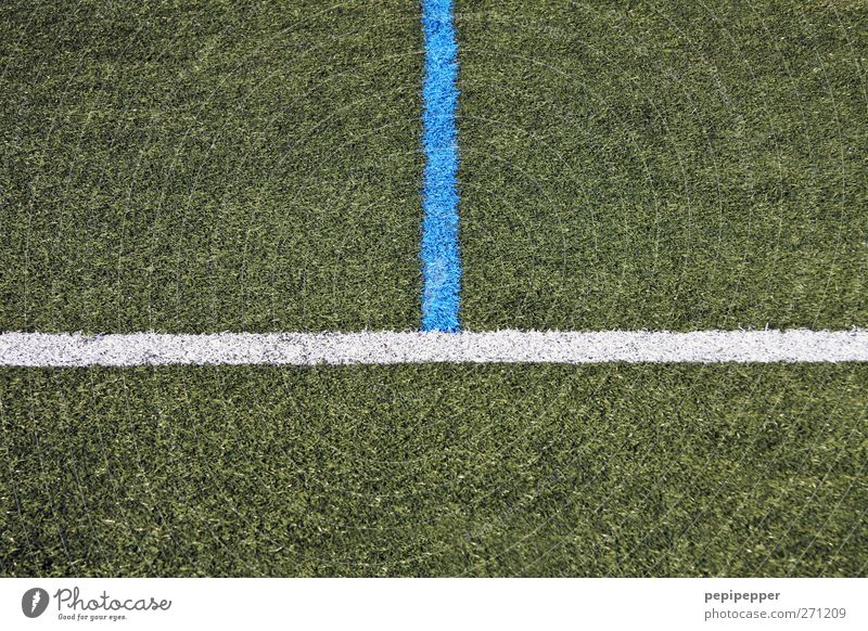 I here, you there! Leisure and hobbies Playing Ball sports Sporting Complex Football pitch Grass Meadow Signs and labeling Line Stripe Blue Green White