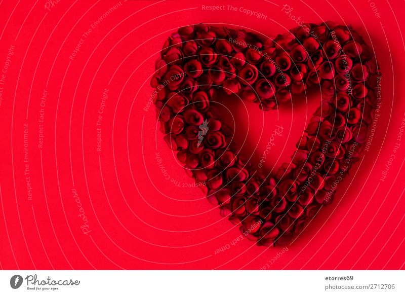 Heart made of red roses on red background for Valentine's Day. Love Mother's Day Rose Flower Symbols and metaphors Feasts & Celebrations Public Holiday February