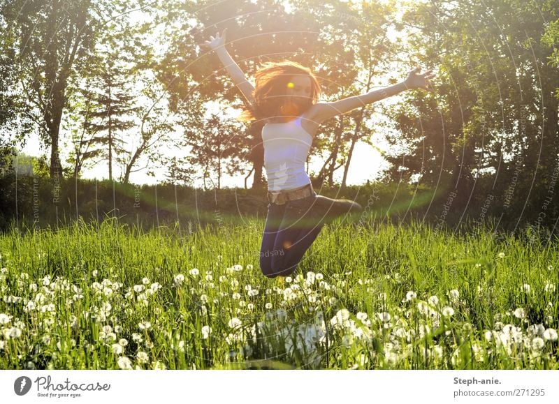 meadow pleasures Feminine Young woman Youth (Young adults) Woman Adults Body 1 Human being Nature Plant Spring Tree Grass Meadow To enjoy Jump Happiness Happy