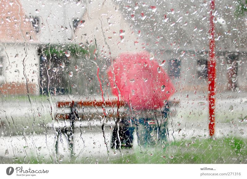 Banking in the rain Rainy weather Umbrella Sit Bench Human being Drops of water Weather Bad weather Wet Red Window pane Glass Runlet Loneliness Gloomy 1 Person