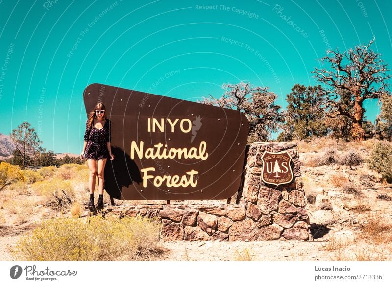 Girl at INYO National Forest sign, near California and Nevada Vacation & Travel Tourism Human being Feminine Young woman Youth (Young adults) Woman Adults 1