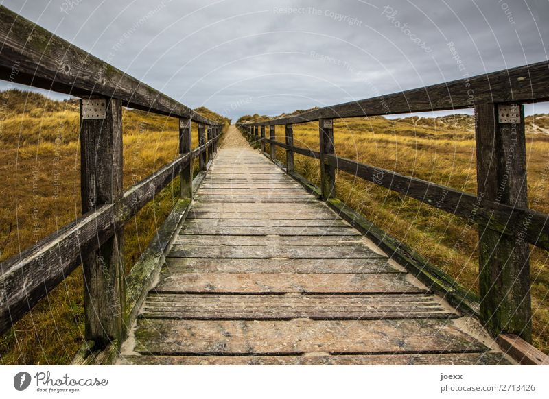 Long wooden path with railing on dunes in cloudy weather Woodway Calm Nature Idyll boardwalk Horizon Lanes & trails duene North Sea Sky Landscape Weather Clouds