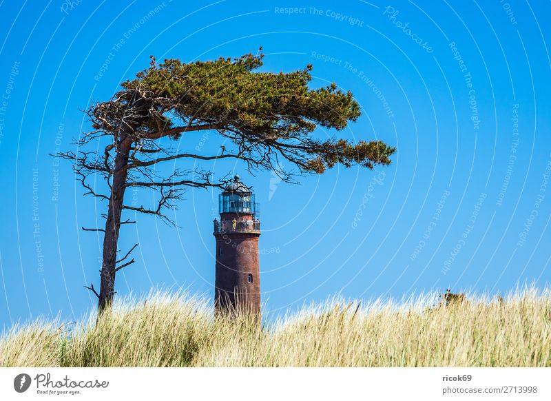 Lighthouse Darßer Ort on the Fischland-Darß Relaxation Vacation & Travel Tourism Nature Landscape Clouds Weather Tree Coast Baltic Sea Architecture