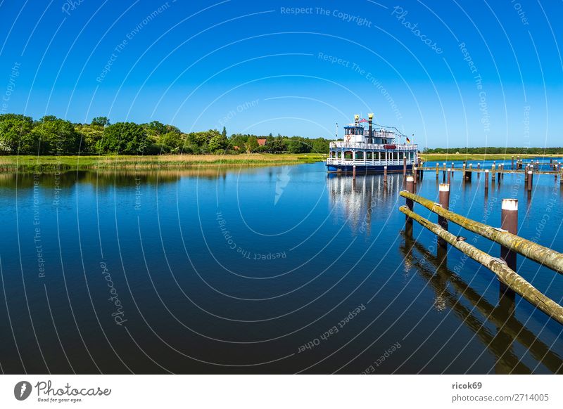 Excursion ship on the Prerow stream in Prerow Relaxation Vacation & Travel Tourism Nature Landscape Water Cloudless sky Weather Tree Forest Harbour Watercraft