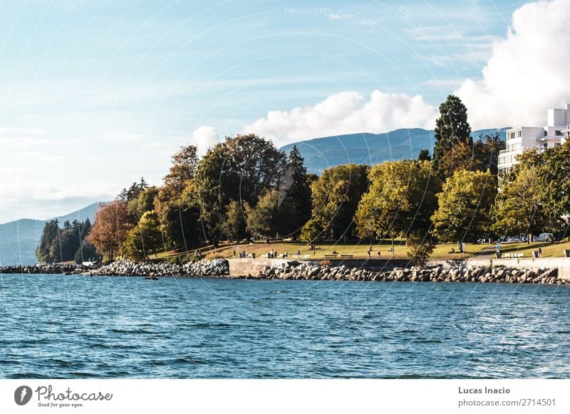 Stanley Park and the sea in Vancouver, Canada Summer Beach Ocean Environment Nature Sand Sky Tree Leaf Rock Coast Skyline Adventure Relaxation Freedom Joy