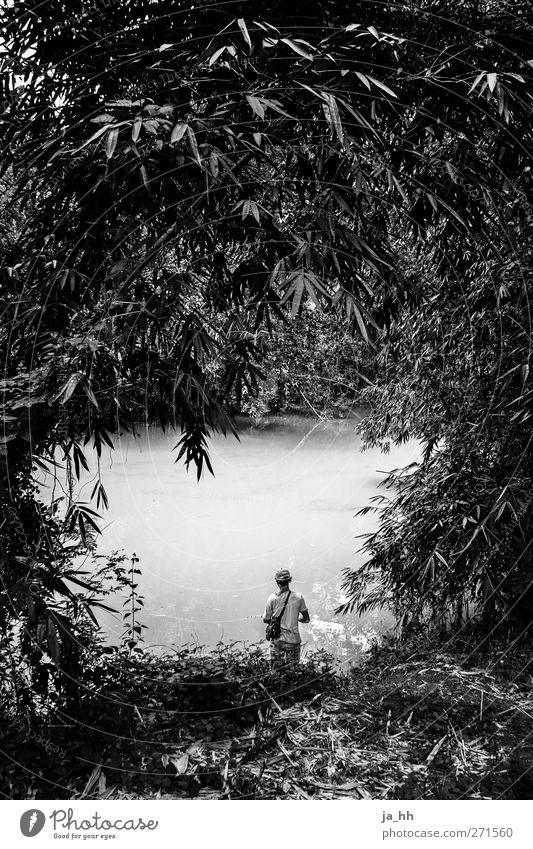 fluency Water Virgin forest River bank Lake Loneliness Fishing (Angle) Environmental pollution Bali Indonesia Asia Angler loner filth dirty water Effluent