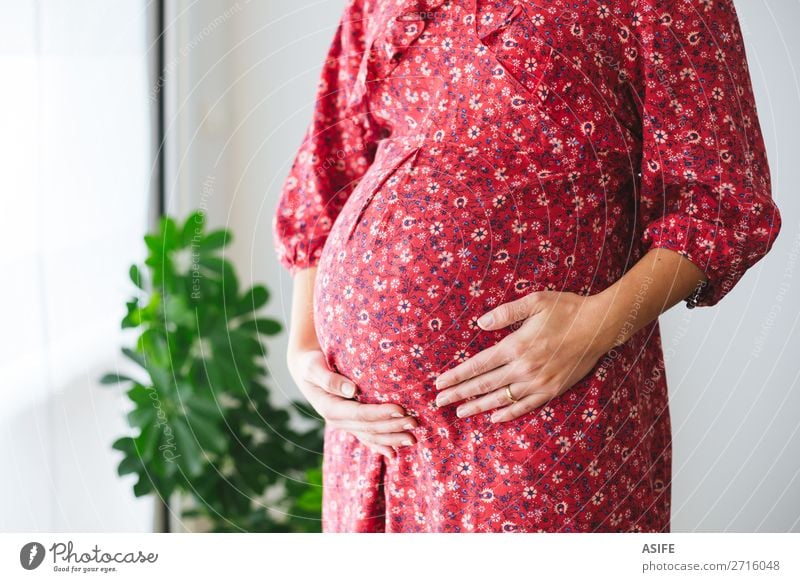 Pregnant woman touching her tummy Happy Body Human being Baby Woman Adults Parents Mother Breasts Arm Hand Plant Flower Dress Touch Love Stand Red Future